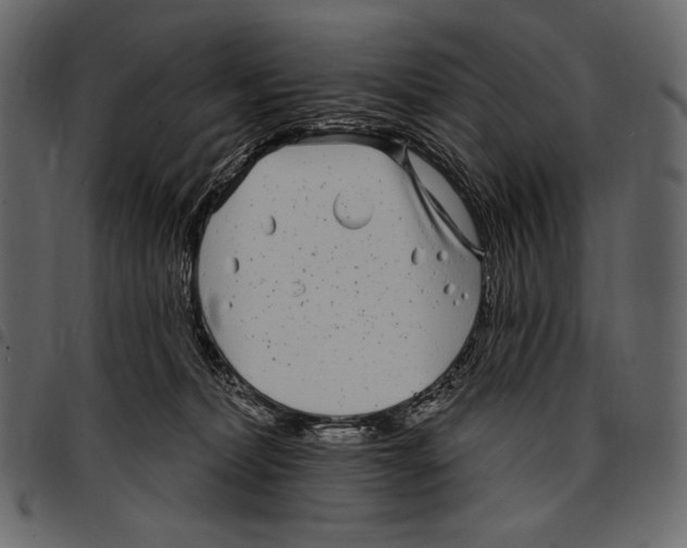 X0000097470228200803201454