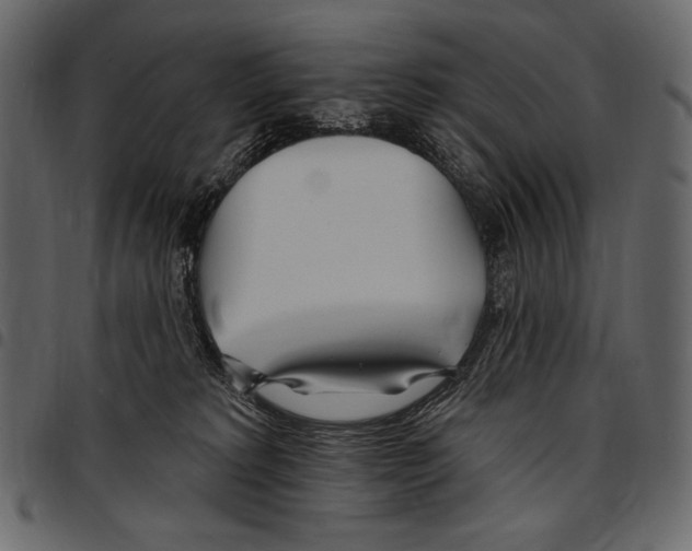 X0000097470229200803201454