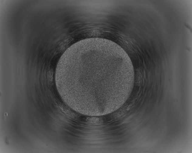 X0000097470230200803201454