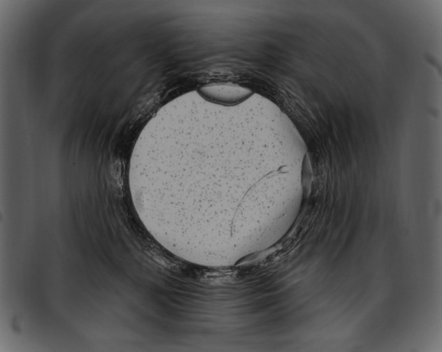 X0000097470232200803201454