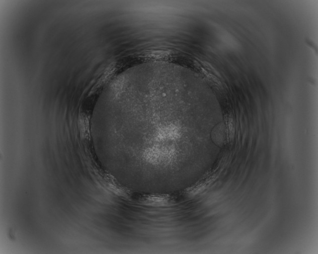 X0000097470236200803201454