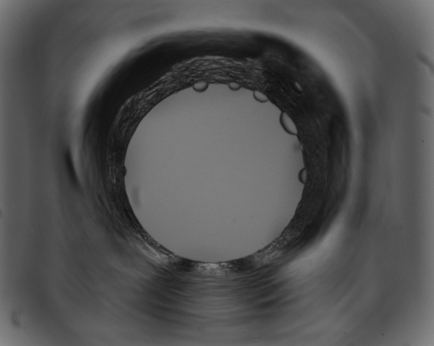 X0000097470239200803201454