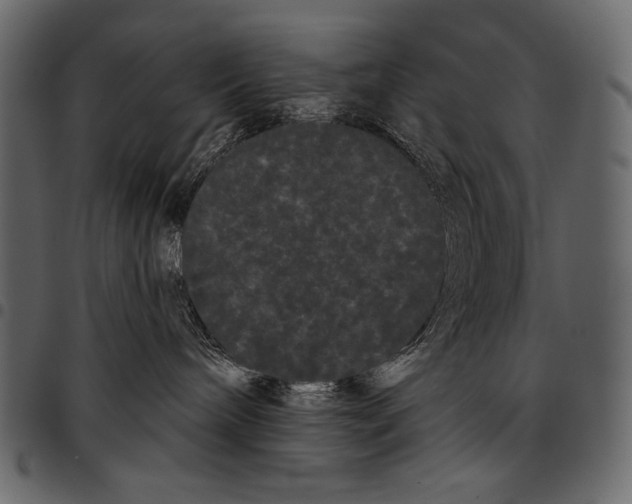 X0000097470240200803201454