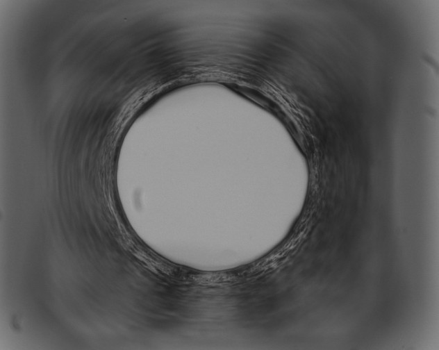 X0000097470241200803201454