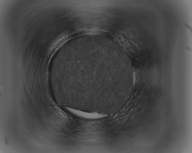 X0000097470243200803201454