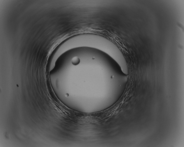 X0000097470244200803201454