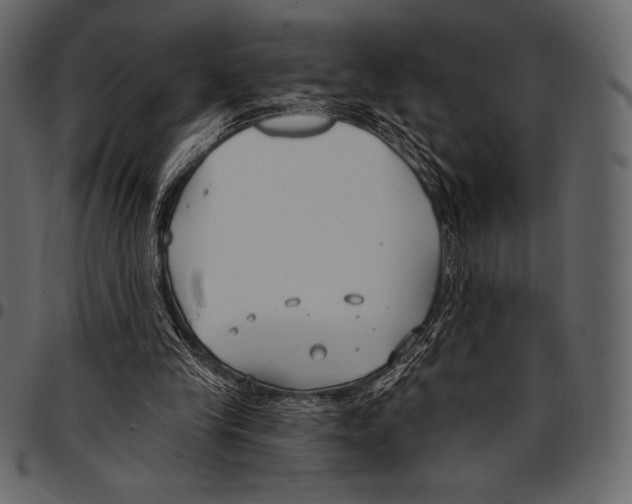 X0000097470245200803201454