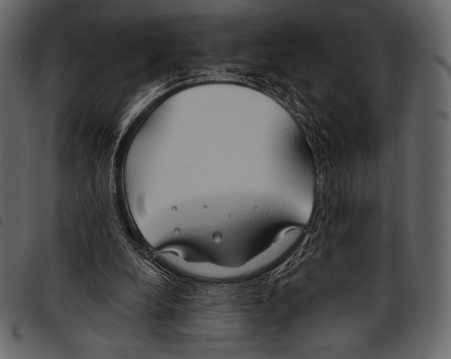 X0000097470248200803201454