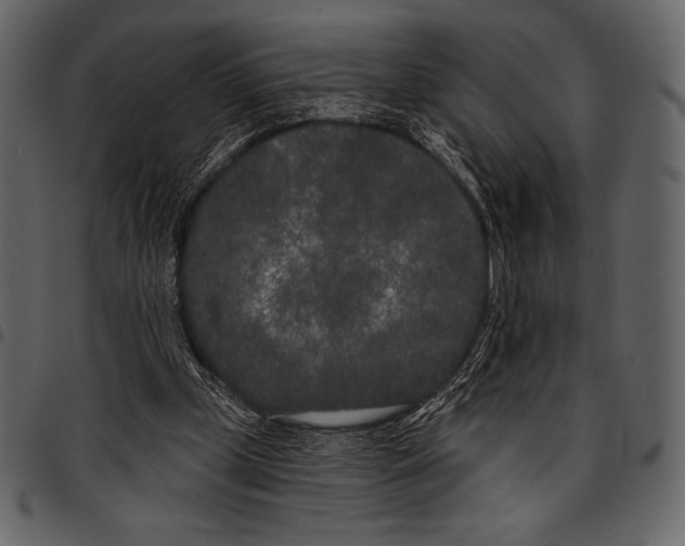 X0000097470249200803201454