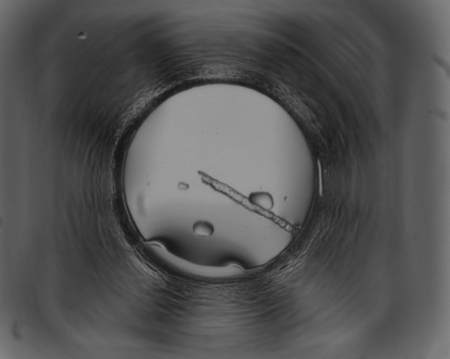 X0000097470252200803201454