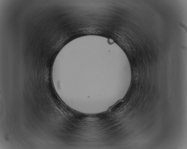 X0000097470255200803201454