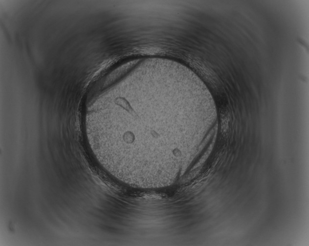 X0000097470256200803201454