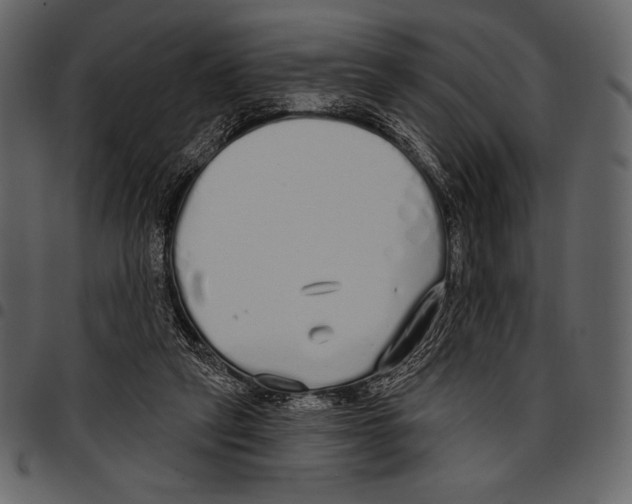 X0000097470257200803201454