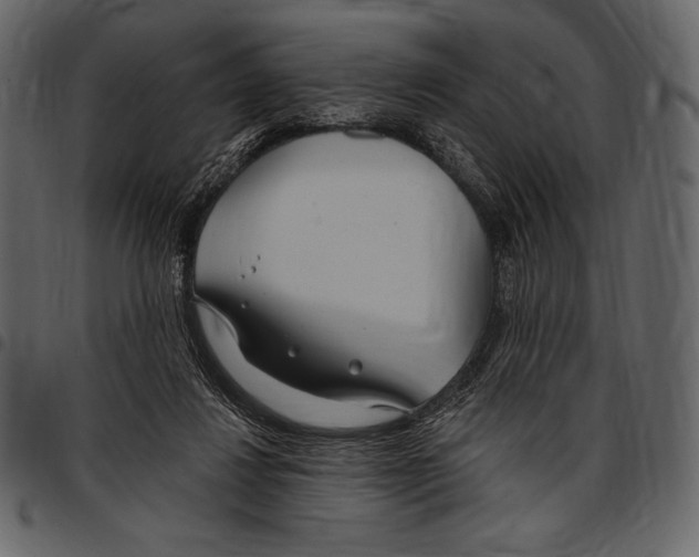 X0000097470260200803201454