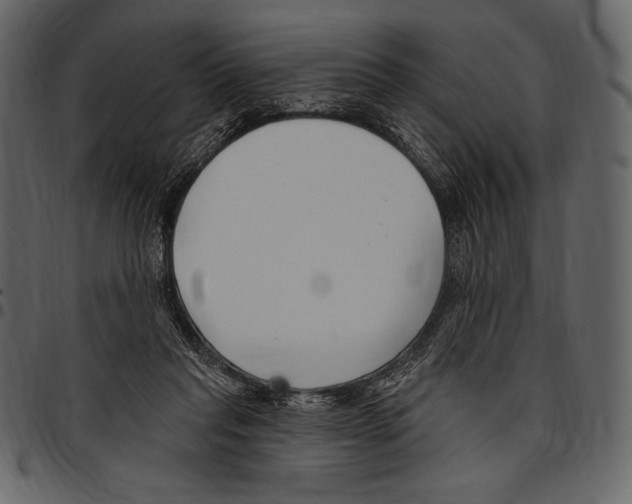 X0000097470261200803201454