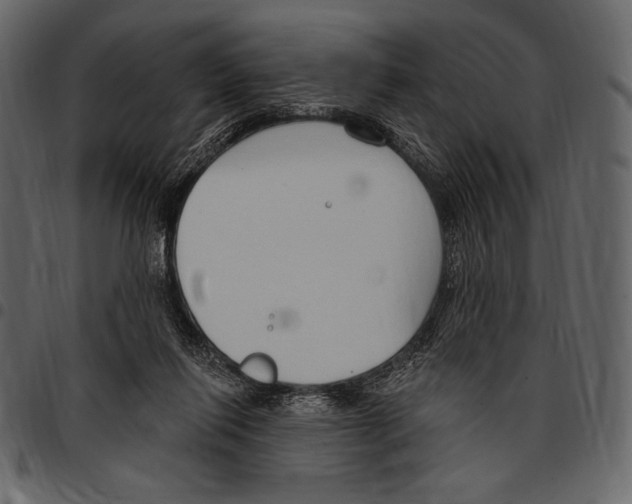 X0000097470262200803201454