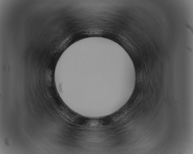 X0000097470264200803201454