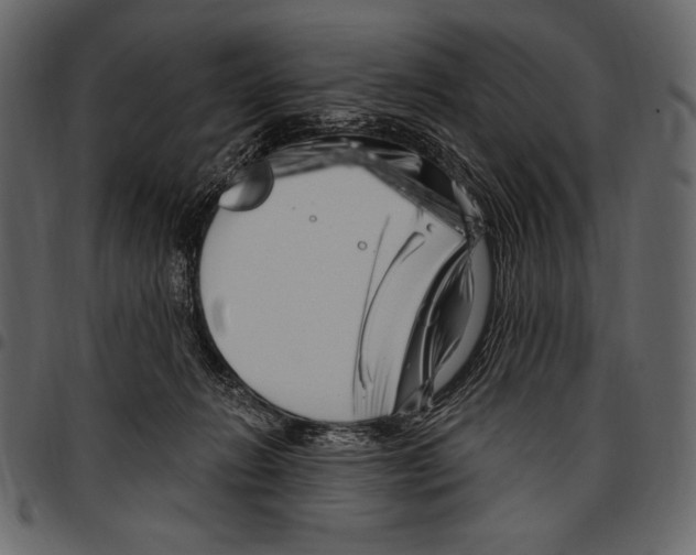 X0000097470270200803201454