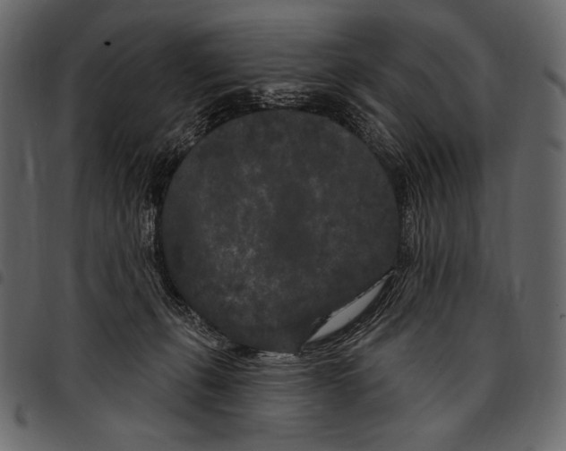 X0000097470271200803201454