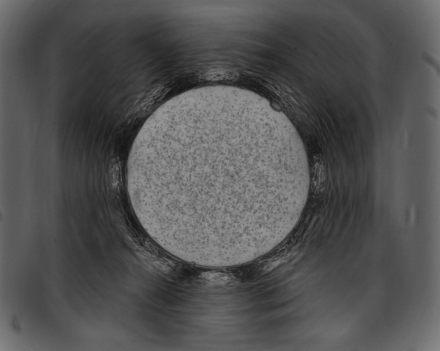 X0000097470272200803201454