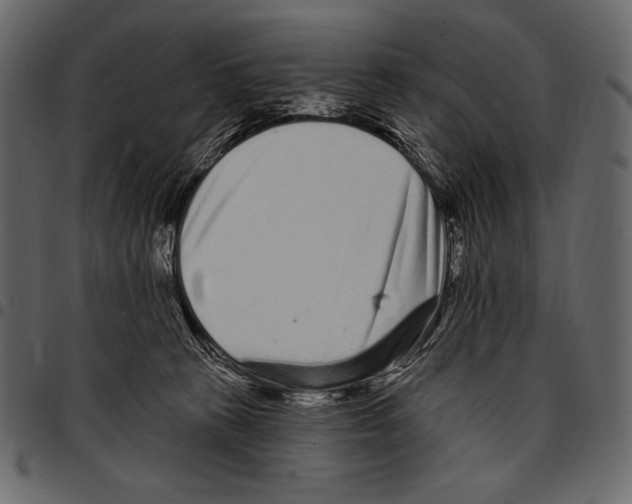 X0000097470273200803201454