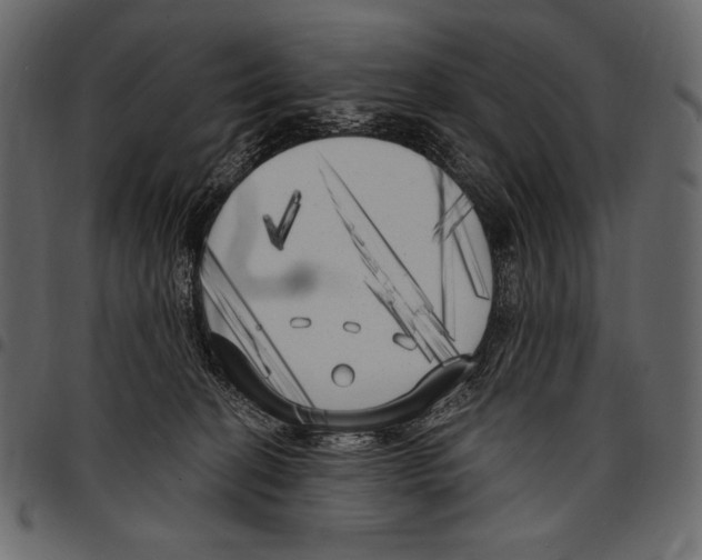 X0000097470274200803201454