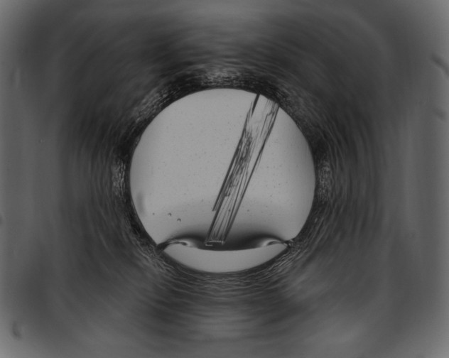 X0000097470278200803201454