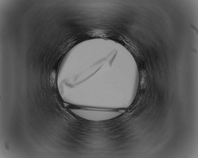 X0000097470281200803201454