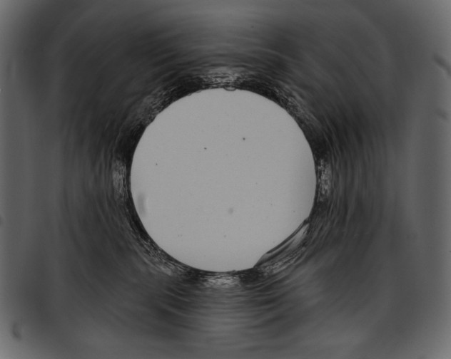 X0000097470283200803201454