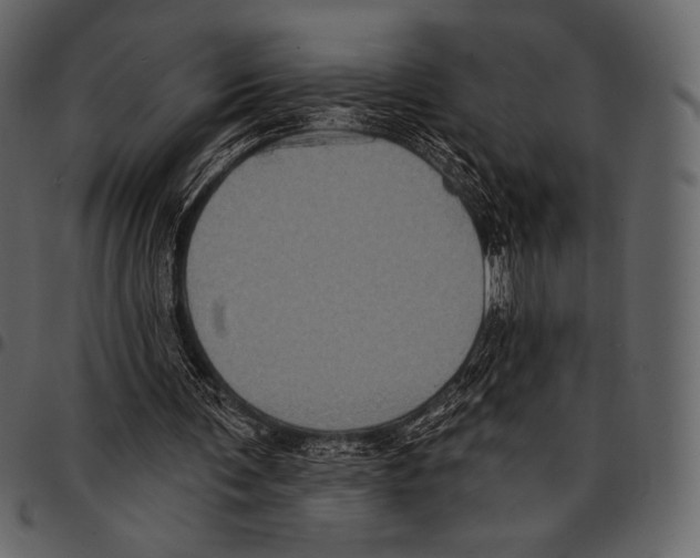 X0000097470291200803201454