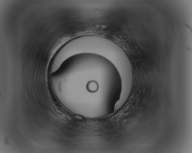 X0000097470292200803201454