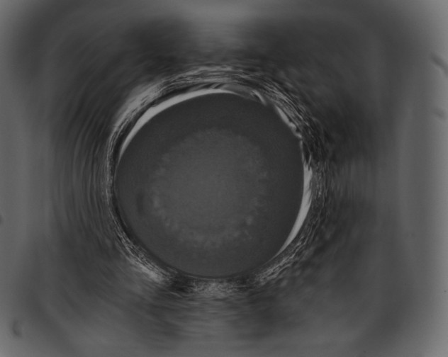 X0000097470293200803201454