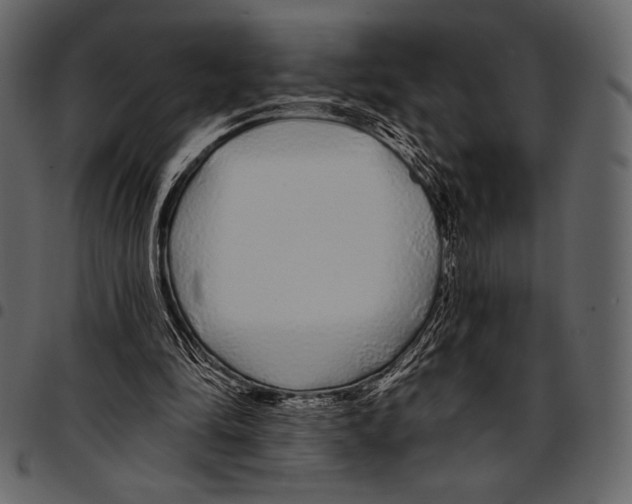 X0000097470294200803201454