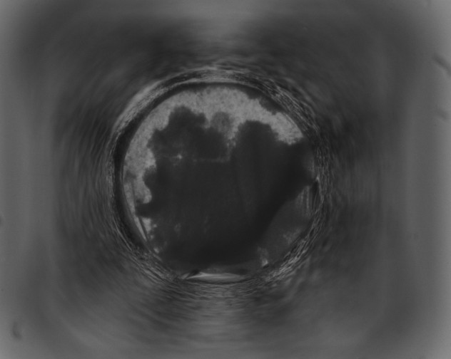 X0000097470295200803201454