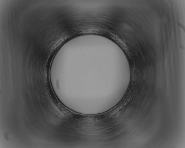 X0000097470298200803201453