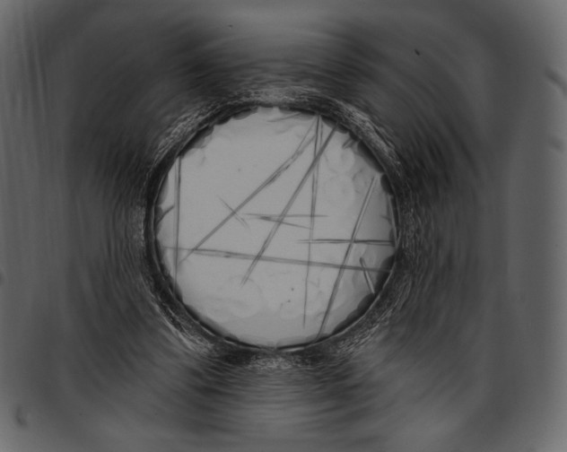 X0000097470299200803201453