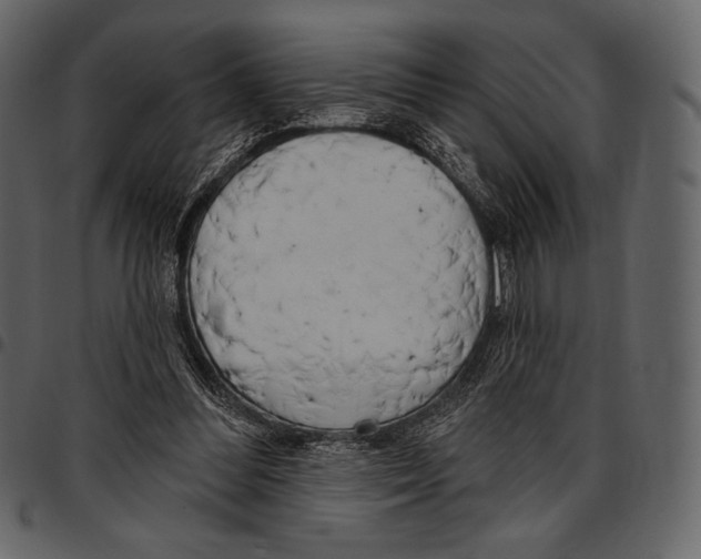 X0000097470300200803201453