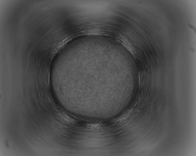 X0000097470301200803201453