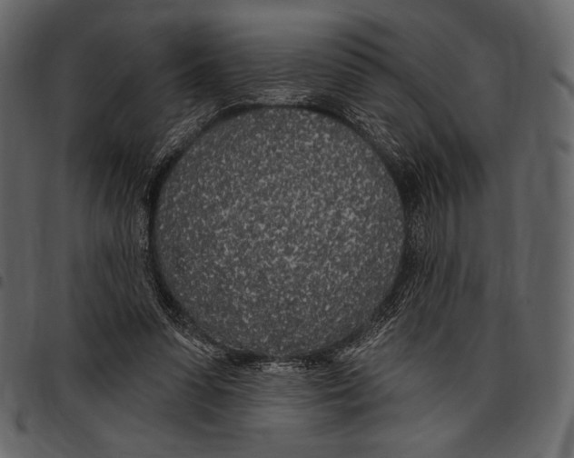 X0000097470303200803201453