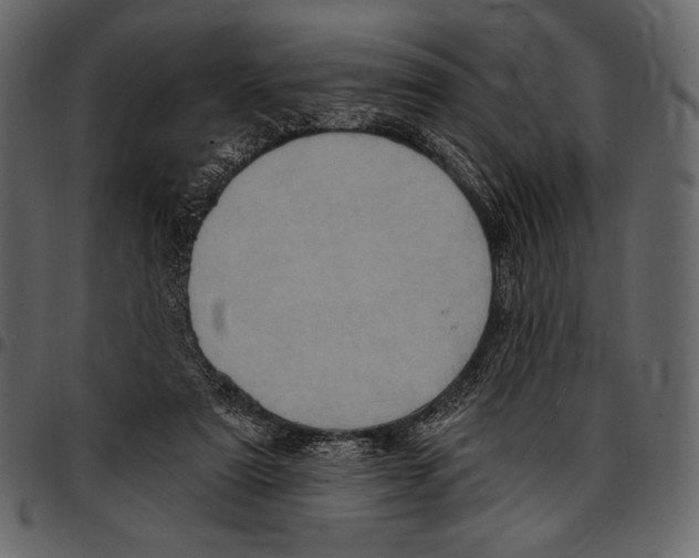 X0000097470307200803201453