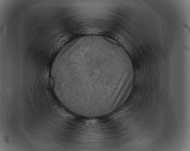 X0000097470309200803201453