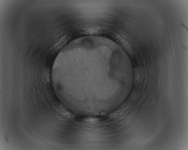 X0000097470313200803201453