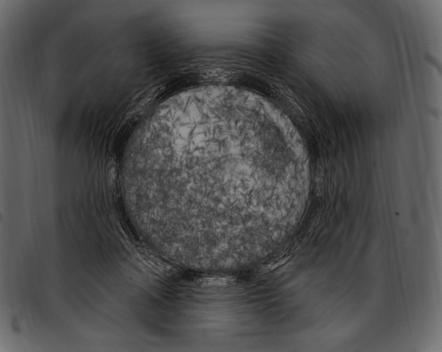 X0000097470314200803201453