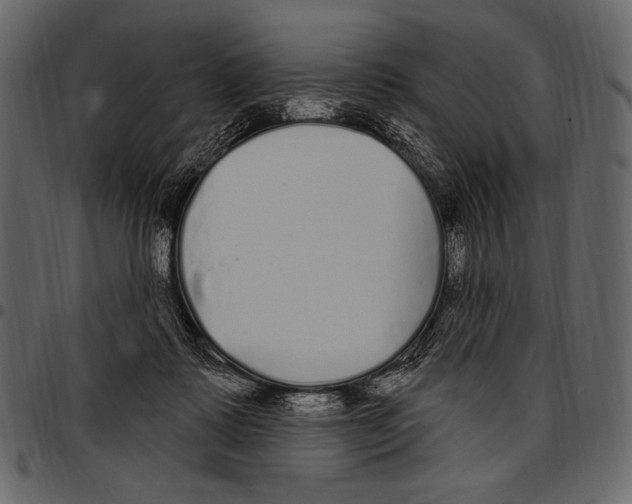 X0000097470315200803201453