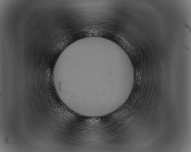 X0000097470318200803201453