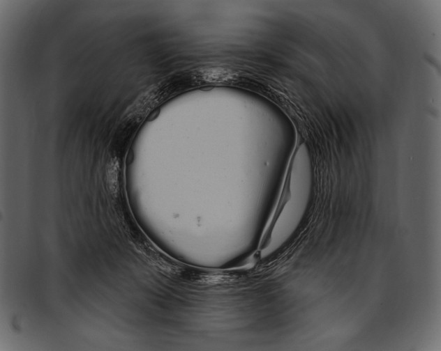 X0000097470319200803201453