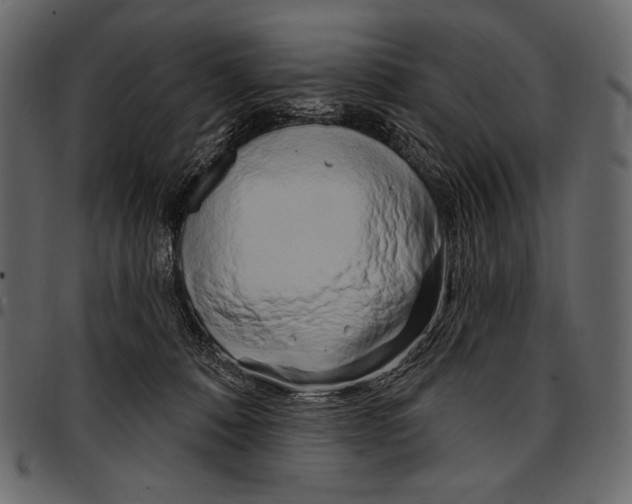 X0000097470320200803201453