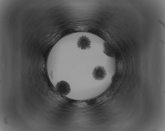 X0000097470322200803201453