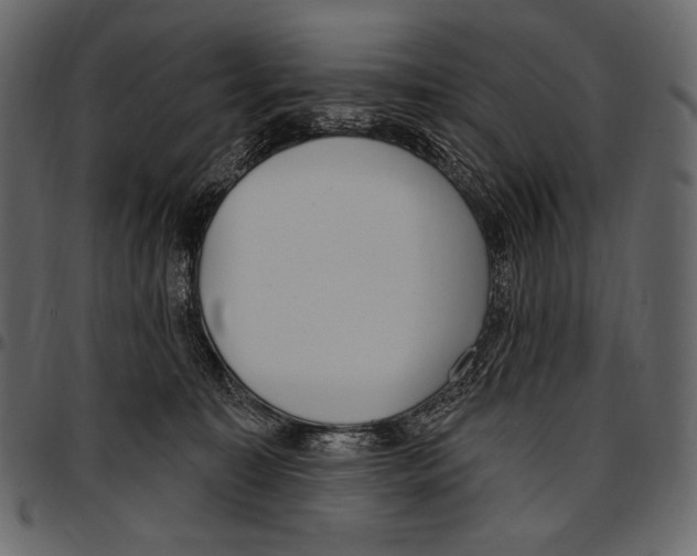 X0000097470323200803201453