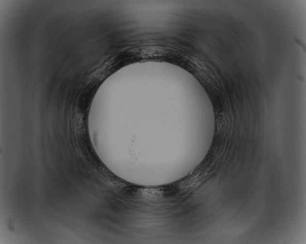 X0000097470327200803201453